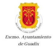logo excelentísimo ayuntamiento de guadix
